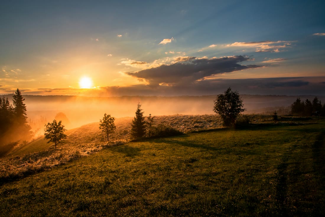 Golden hour field with low sun and warm haze